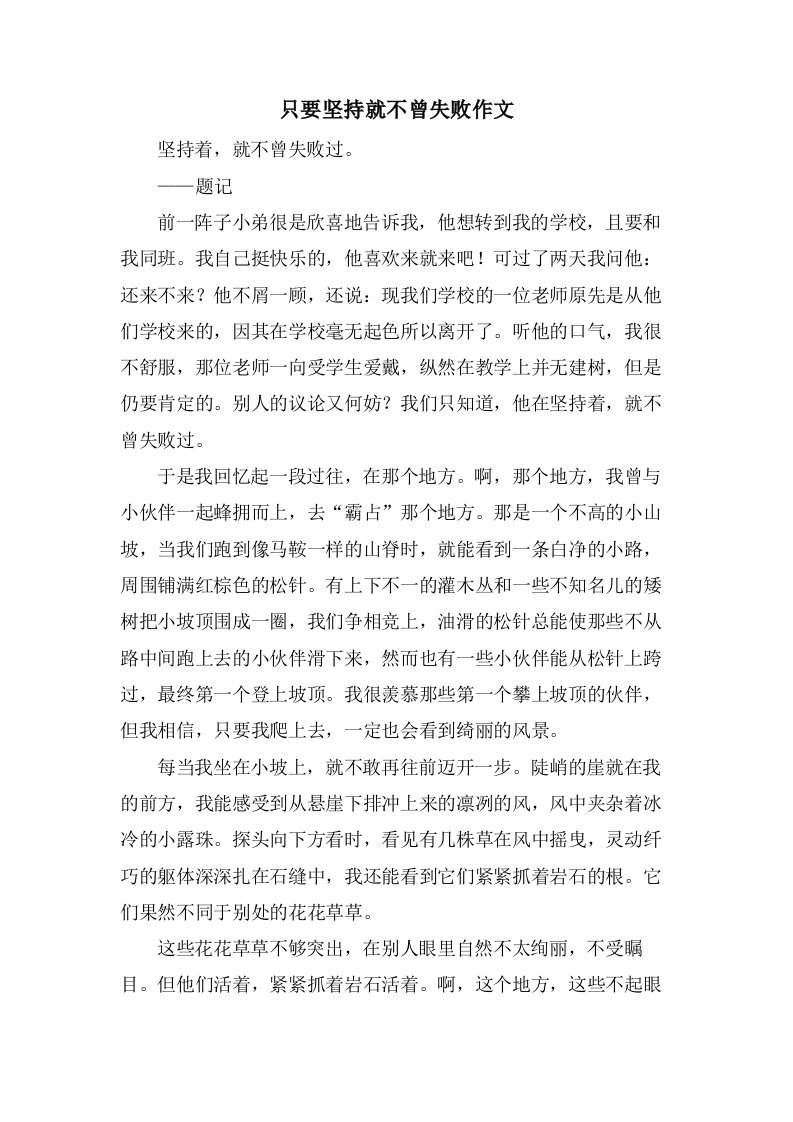 只要坚持就不曾失败作文