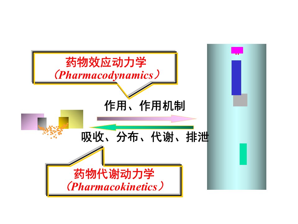 药物效应动力学临床ppt课件