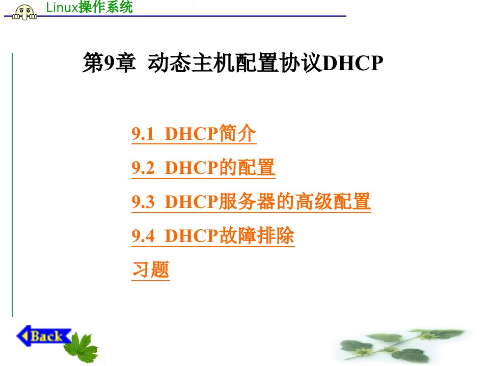 第9章动态主机配置协议DHCP