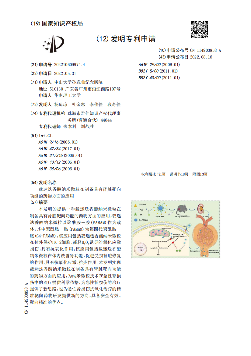 载迷迭香酸纳米微粒在制备具有肾脏靶向功能的药物方面的应用