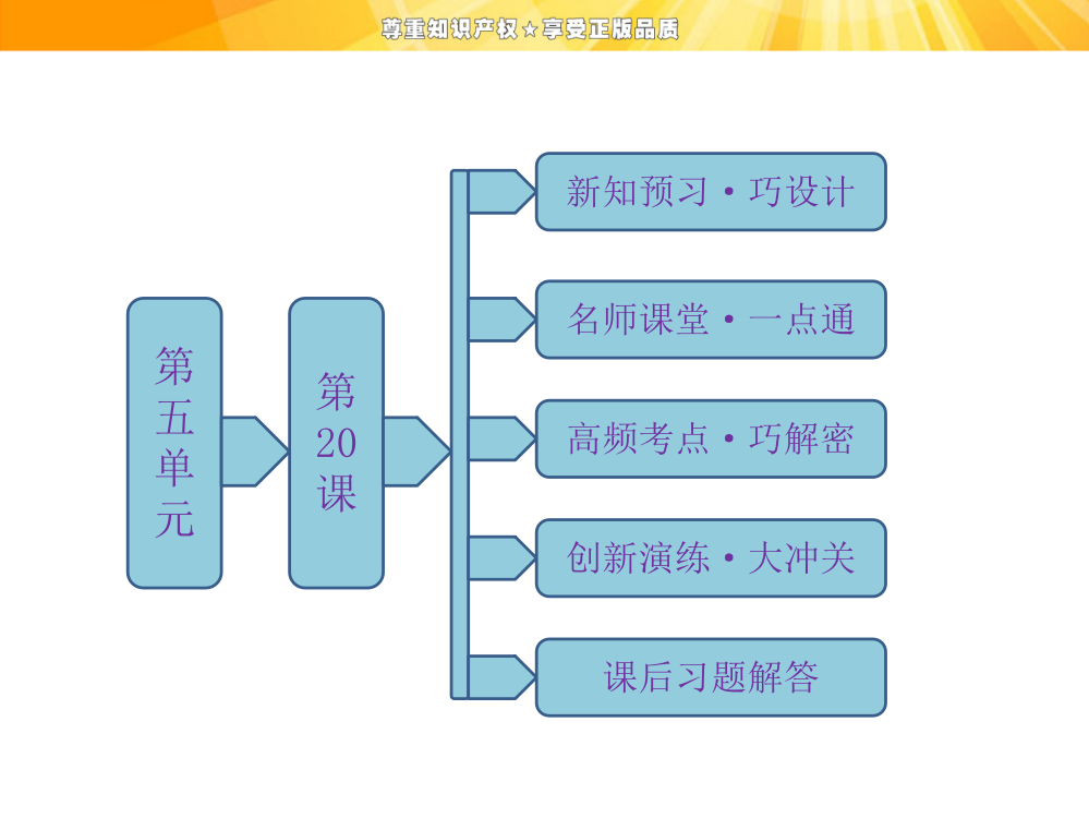 第五单元