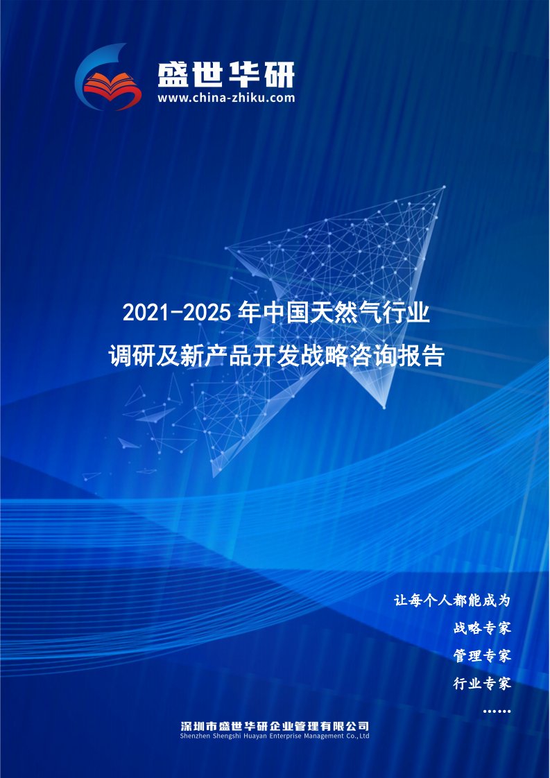 2021-2025年中国天然气行业调研及新产品开发战略咨询报告