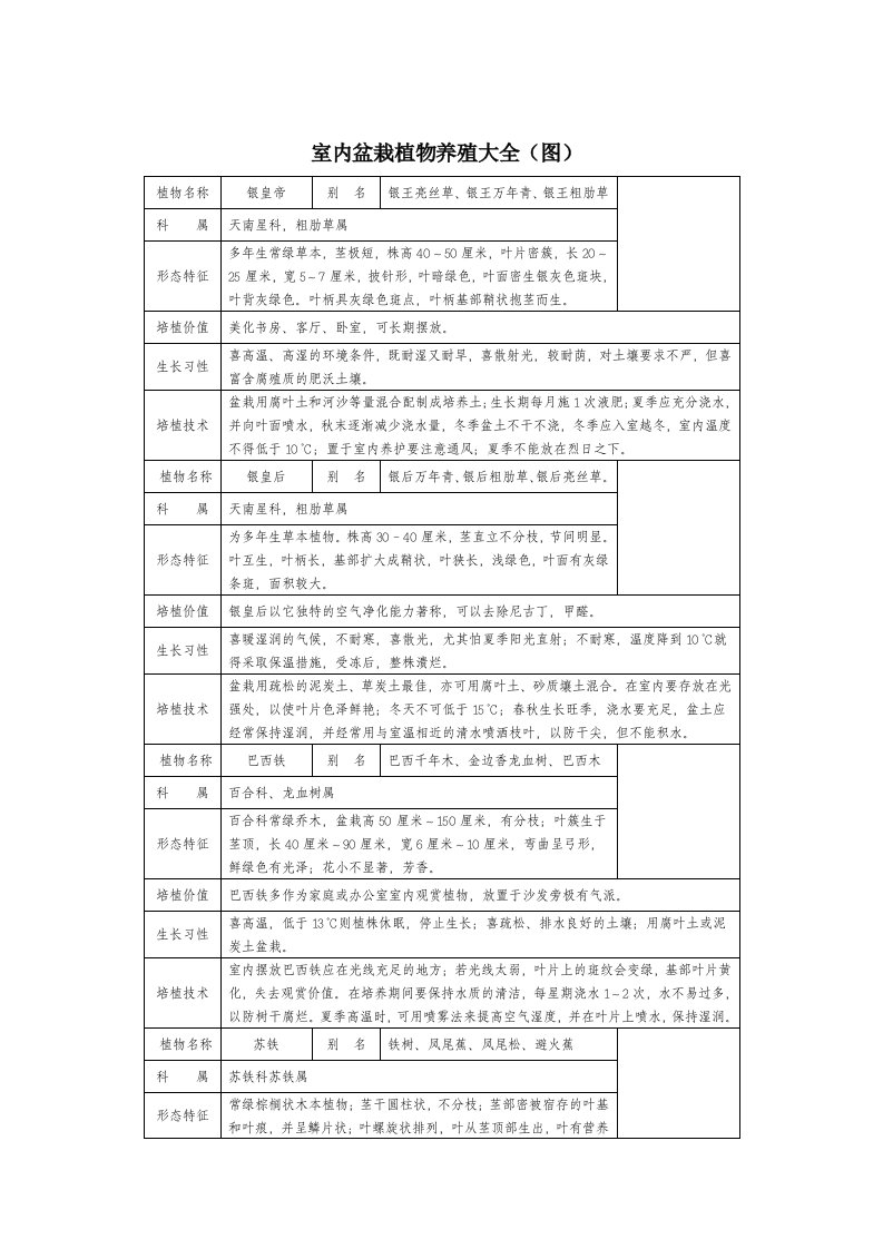 室内盆栽植物养殖大全