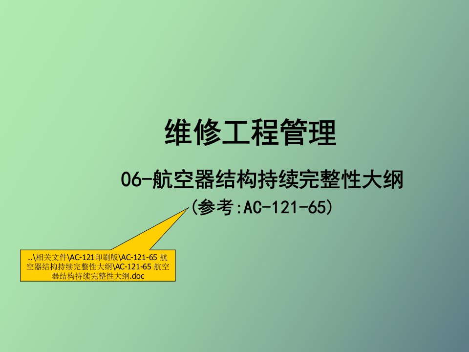 航空器结构持续完整性大纲