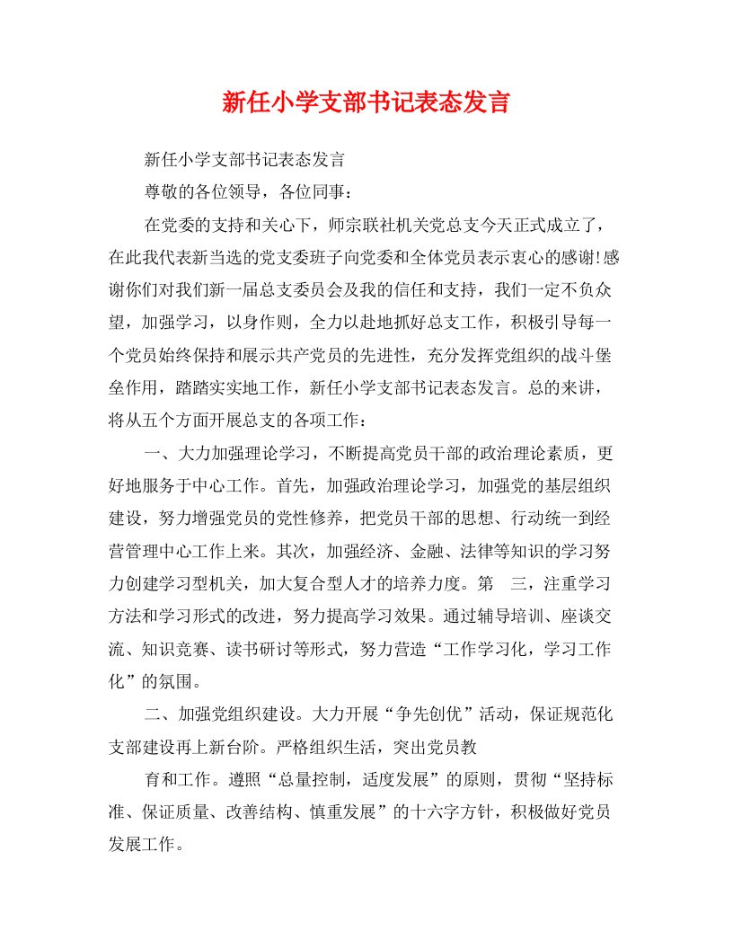 新任小学支部书记表态发言