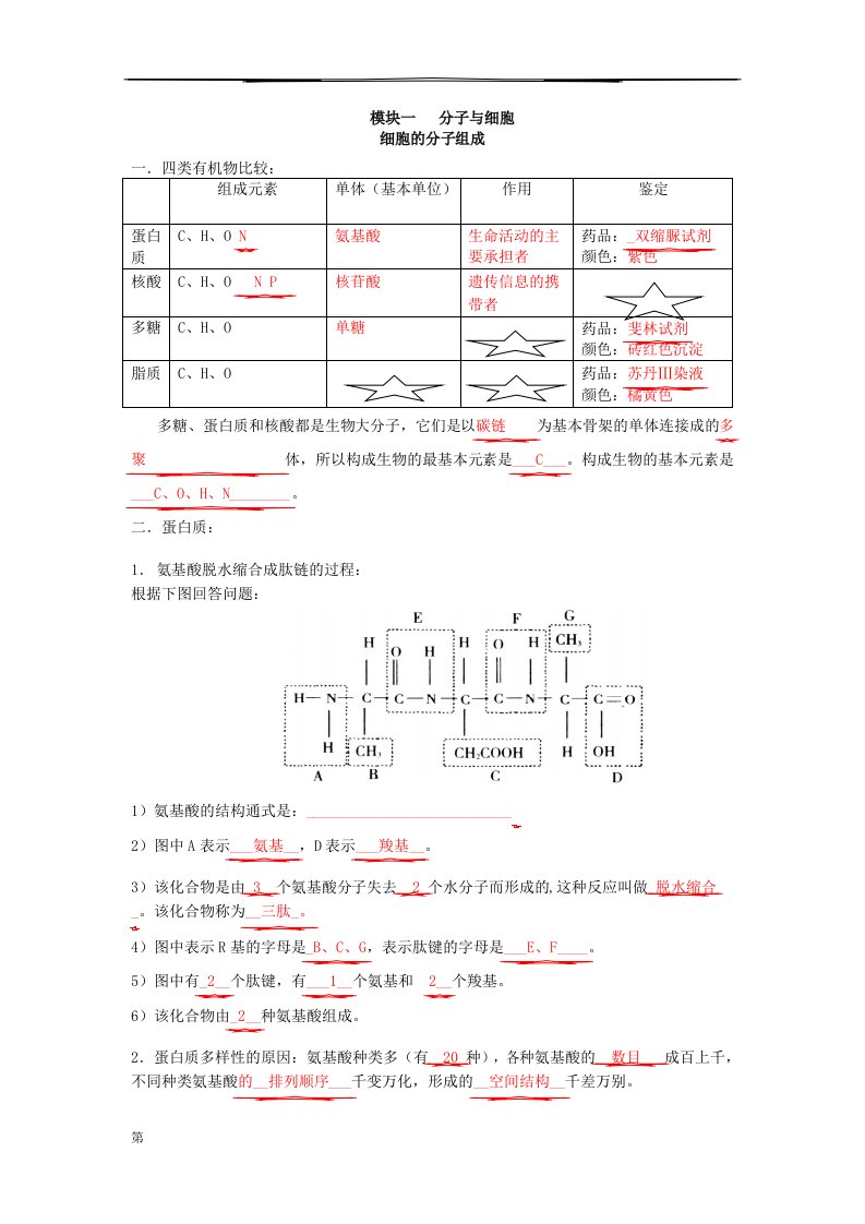 高中生物会考提纲