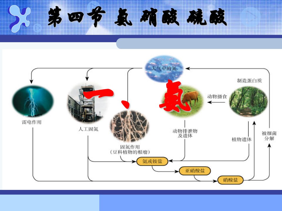 《氨硝酸硫酸之氨》PPT课件