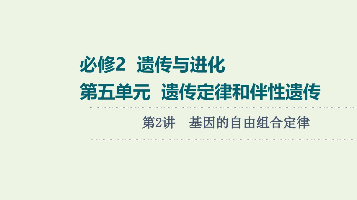 版高考生物一轮复习第5单元遗传定律和伴性遗传第2讲基因的自由组合定律课件苏教版必修2