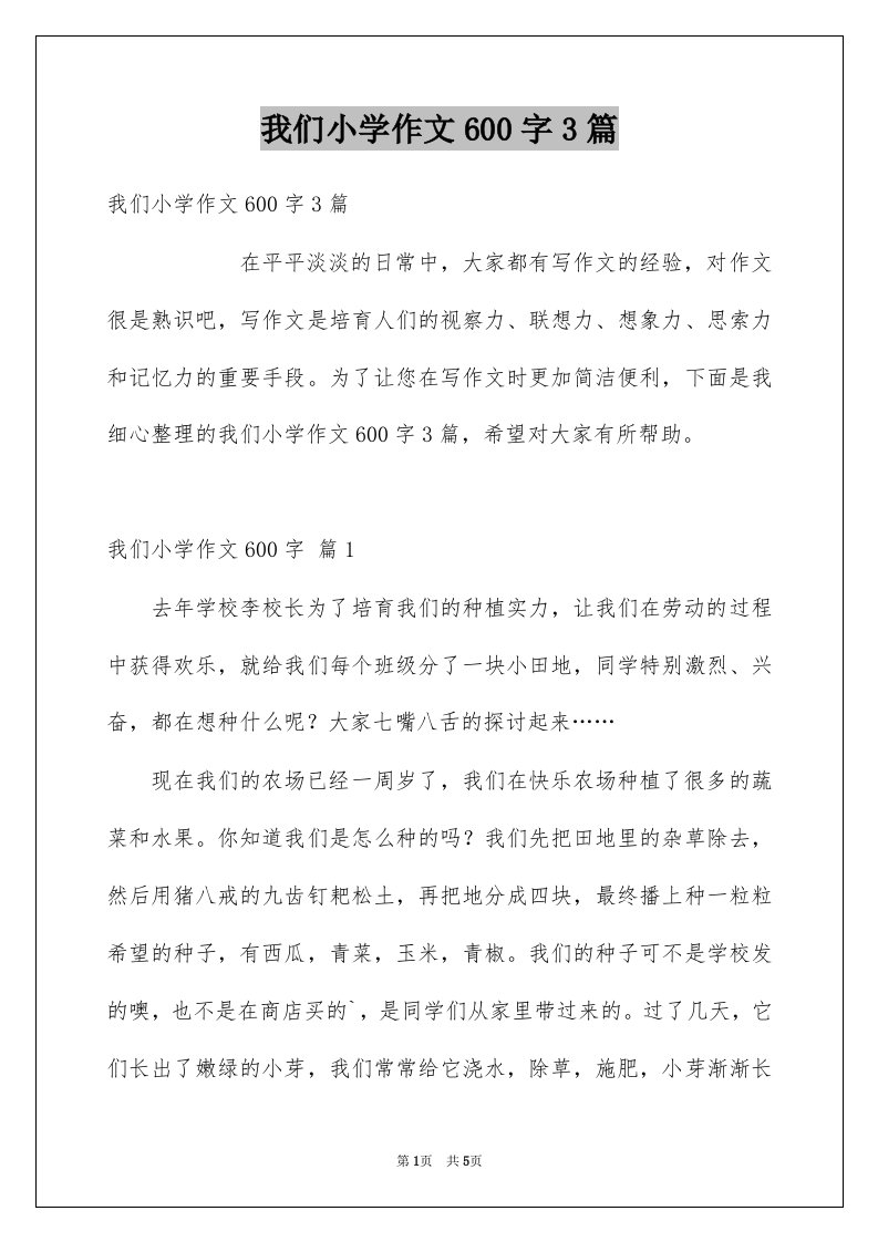 我们小学作文600字3篇