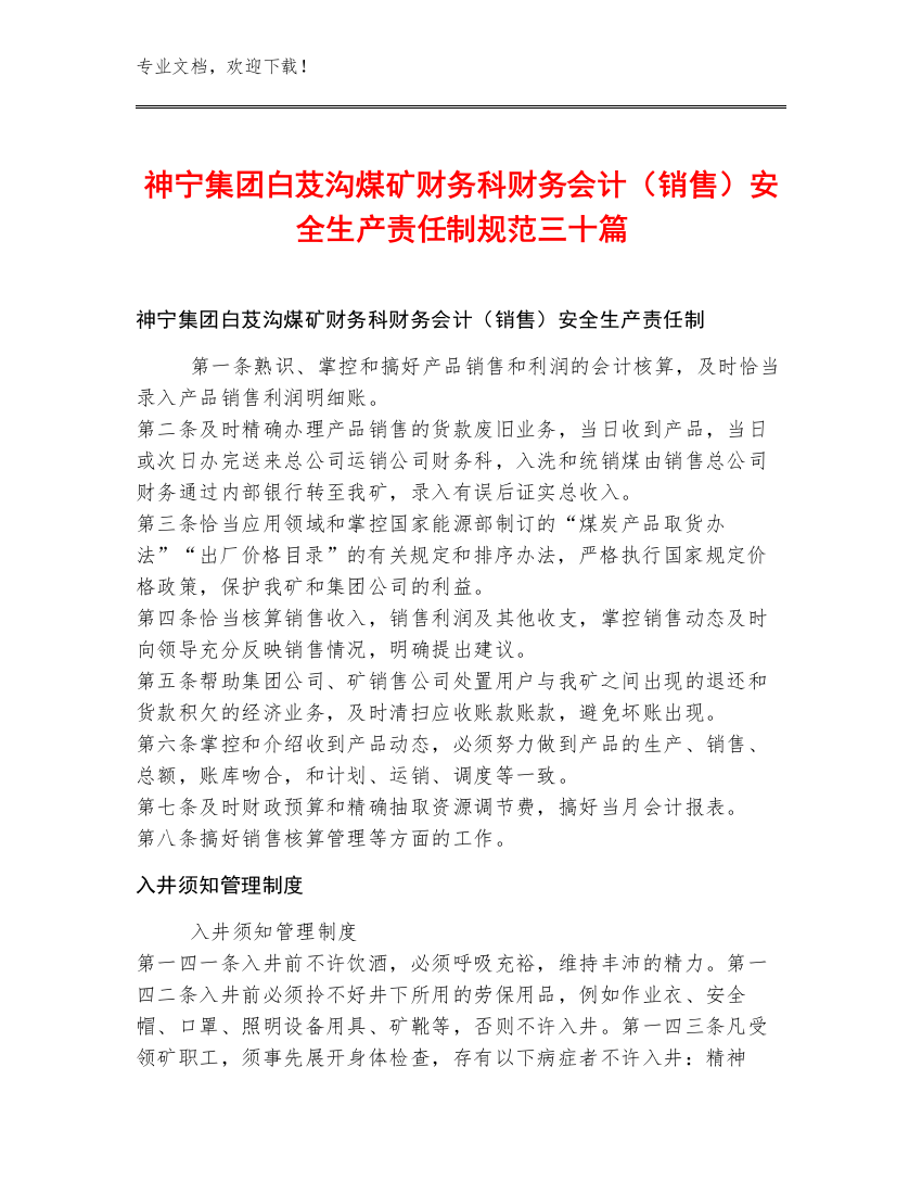 神宁集团白芨沟煤矿财务科财务会计（销售）安全生产责任制规范三十篇