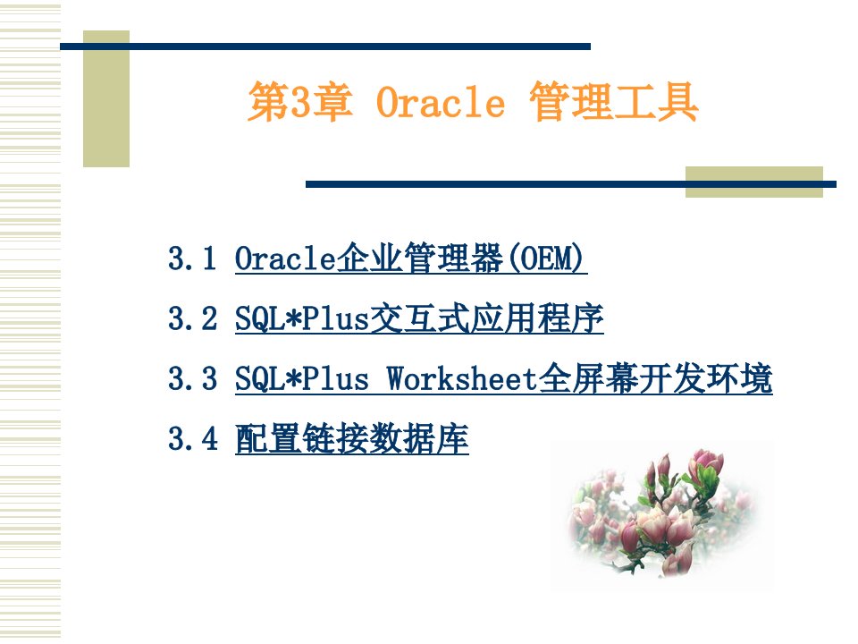 Oracle管理工具-第1章数据库技术基础