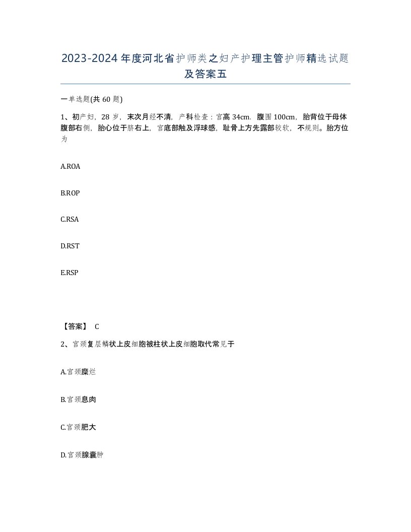 2023-2024年度河北省护师类之妇产护理主管护师试题及答案五