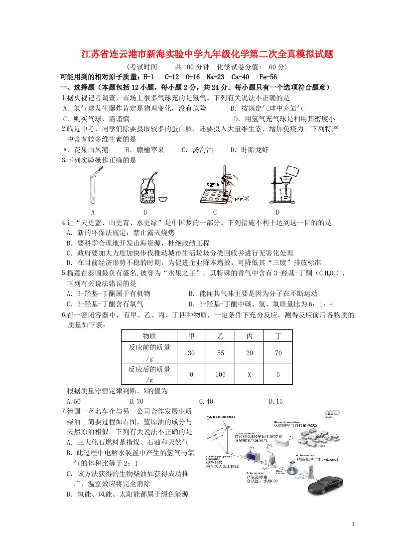 江苏省连云港市新海实验中学九级化学第二次全真模拟试题（无答案）