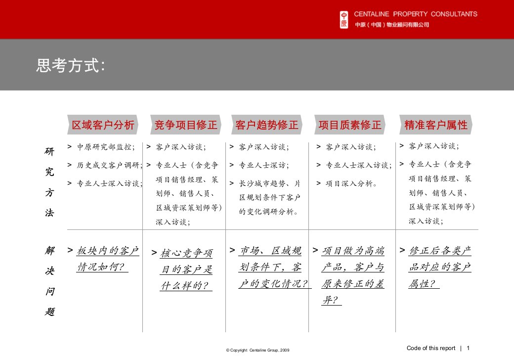 [精选]长沙某地产城_客户定位及客户黑匣子研究