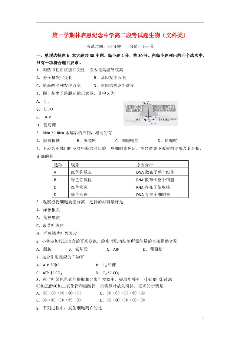 广东省陆丰市林启恩纪念中学高二生物上学期期末段考试题