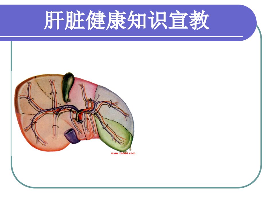 肝脏健康知识宣教