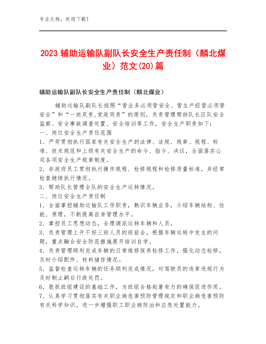 2023辅助运输队副队长安全生产责任制（麟北煤业）范文(20)篇