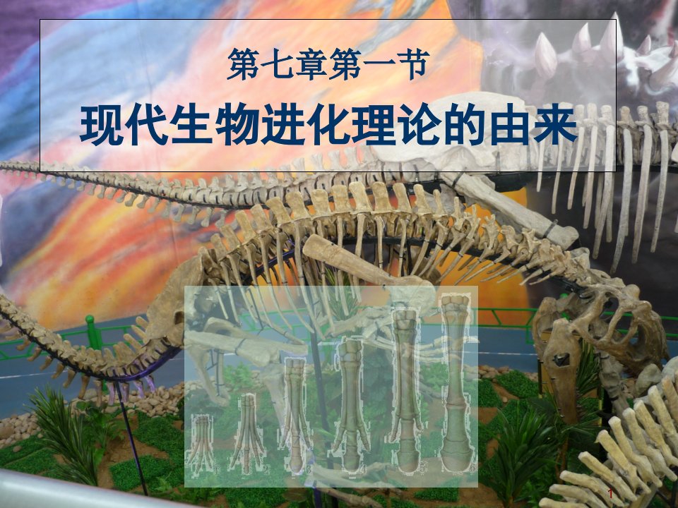 现代生物进化论理论的由来ppt课件