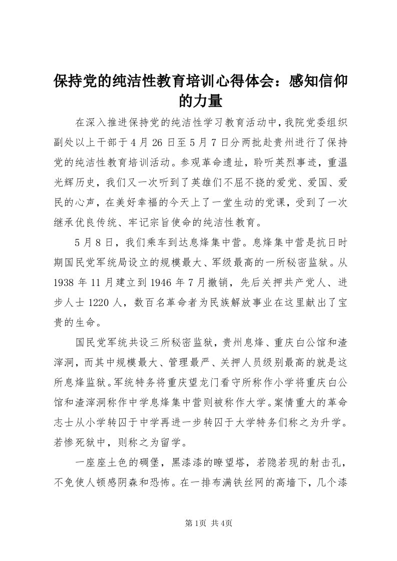 保持党的纯洁性教育培训心得体会：感知信仰的力量