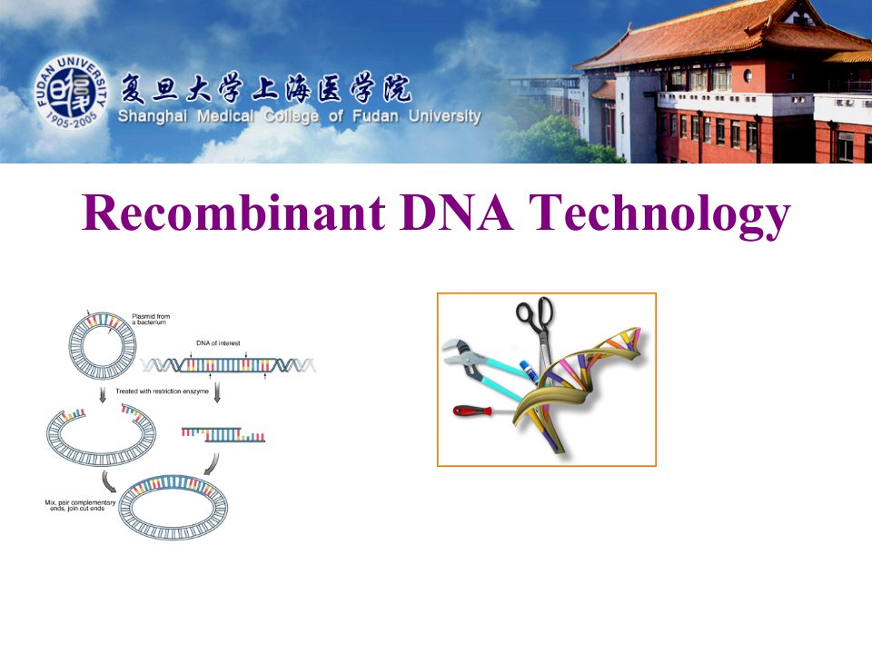 生理化学教学课件：Recombinant