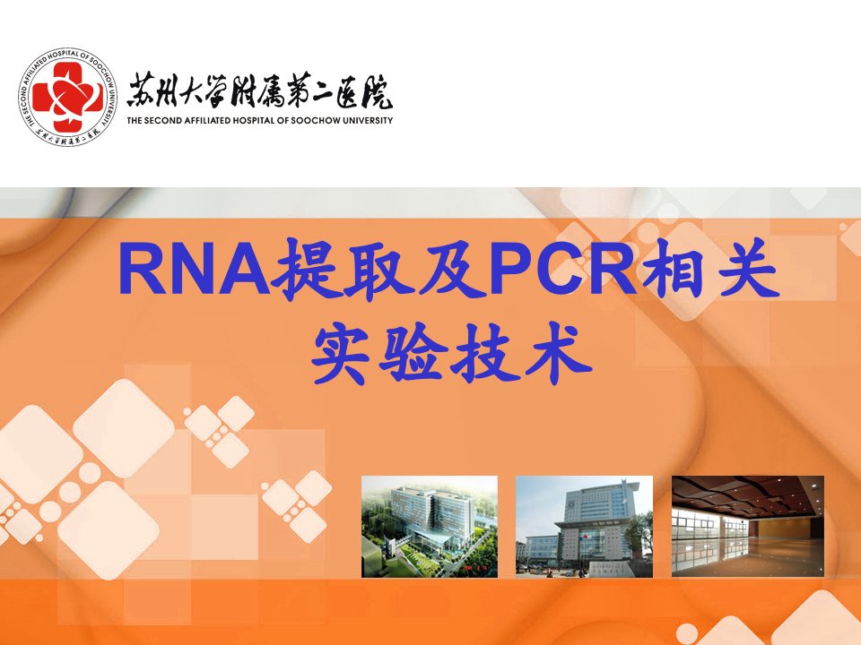 RNA提取及PCR相关技术ppt课件