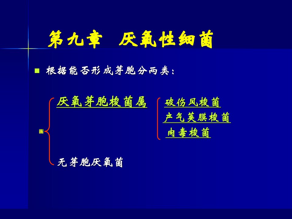 第8章厌氧性细菌