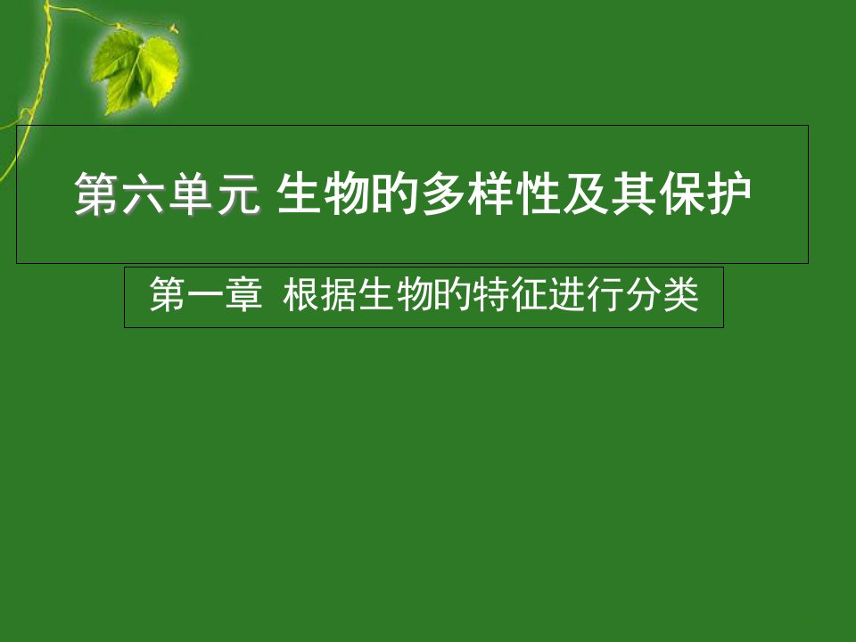 尝试对生物进行分类(导学案)市公开课获奖课件省名师示范课获奖课件