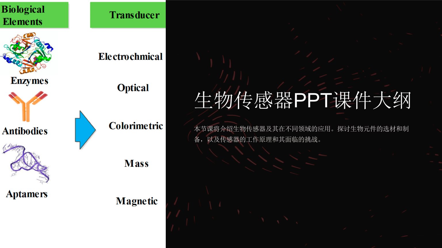 《生物传感器》课件