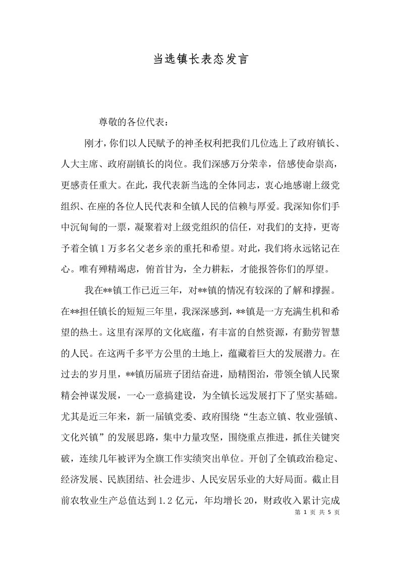 当选镇长表态发言七