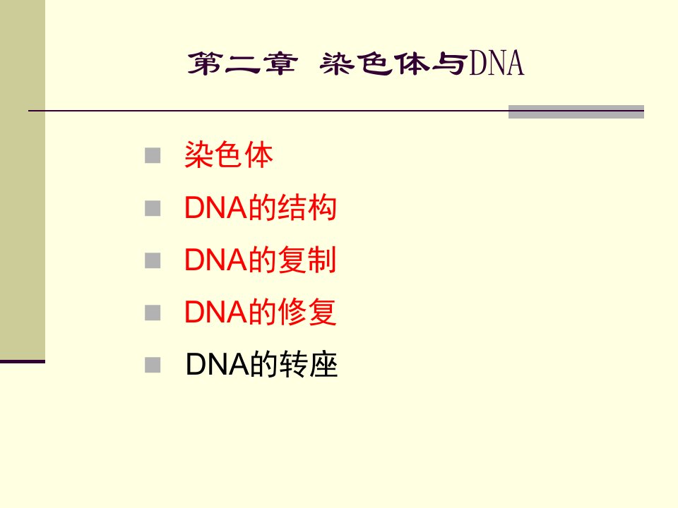 《dna结构特点特征》PPT课件