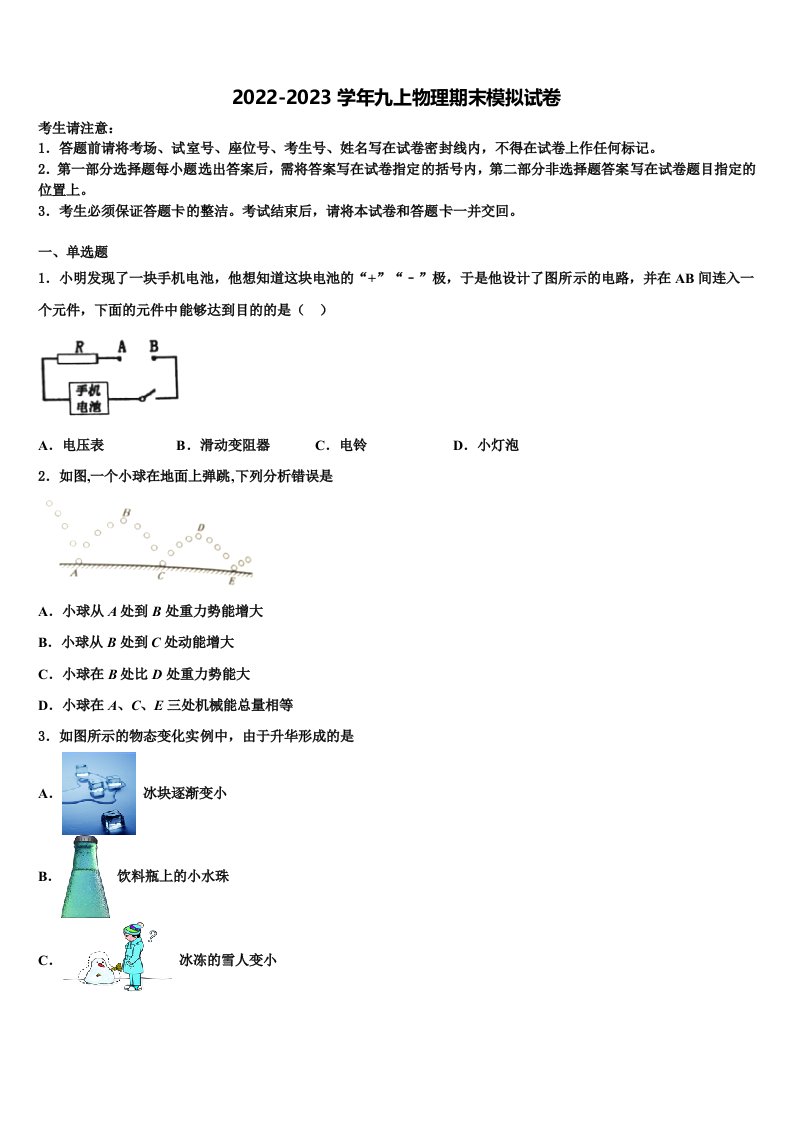 2022年江苏省泰兴市实验九年级物理第一学期期末学业水平测试模拟试题含解析