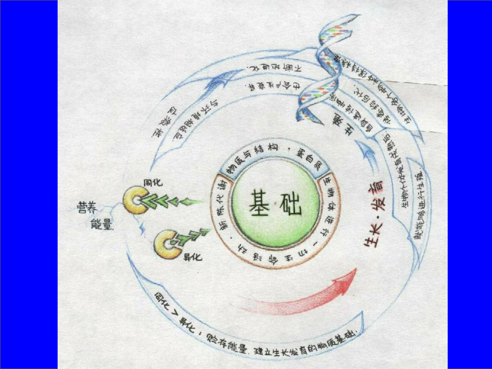 生命的物质基础2016