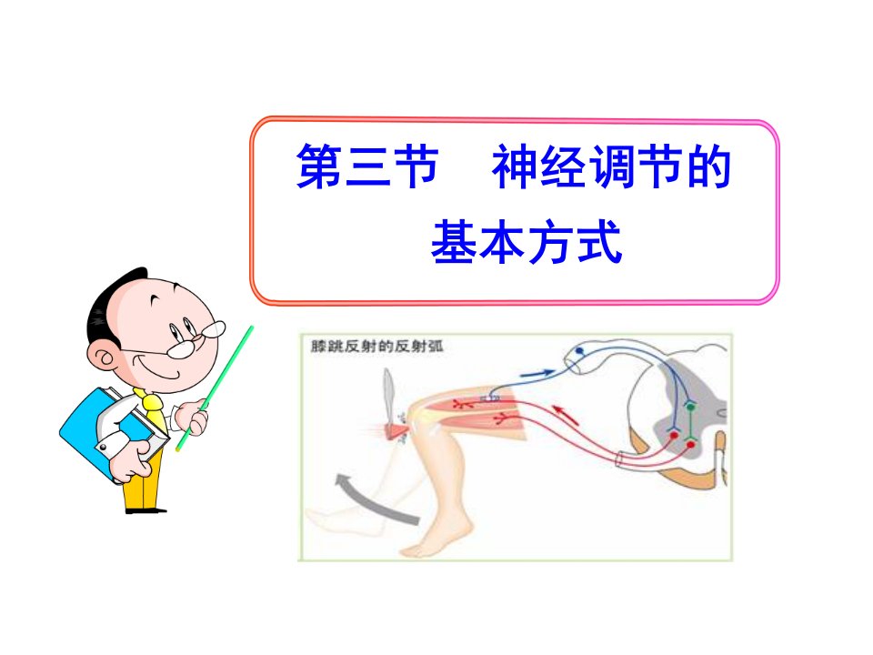 神经调节的基本方式(共29张PPT)