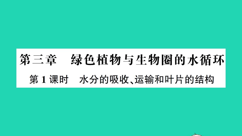 七年级生物上册第三单元第三章绿色植物与生物圈的水循环第1课时水分的吸收运输和叶片的结构作业课件新版新人教版