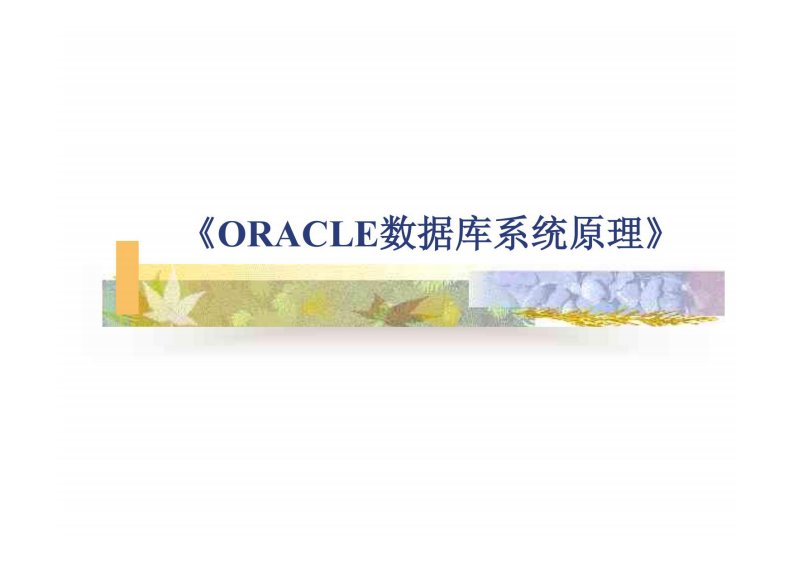 IT计算机课件1-Oracle概述