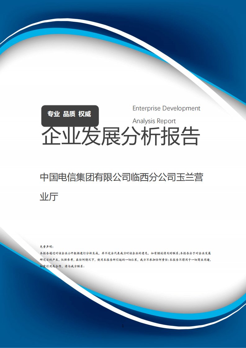 中国电信集团有限公司临西分公司玉兰营业厅介绍企业发展分析报告模板