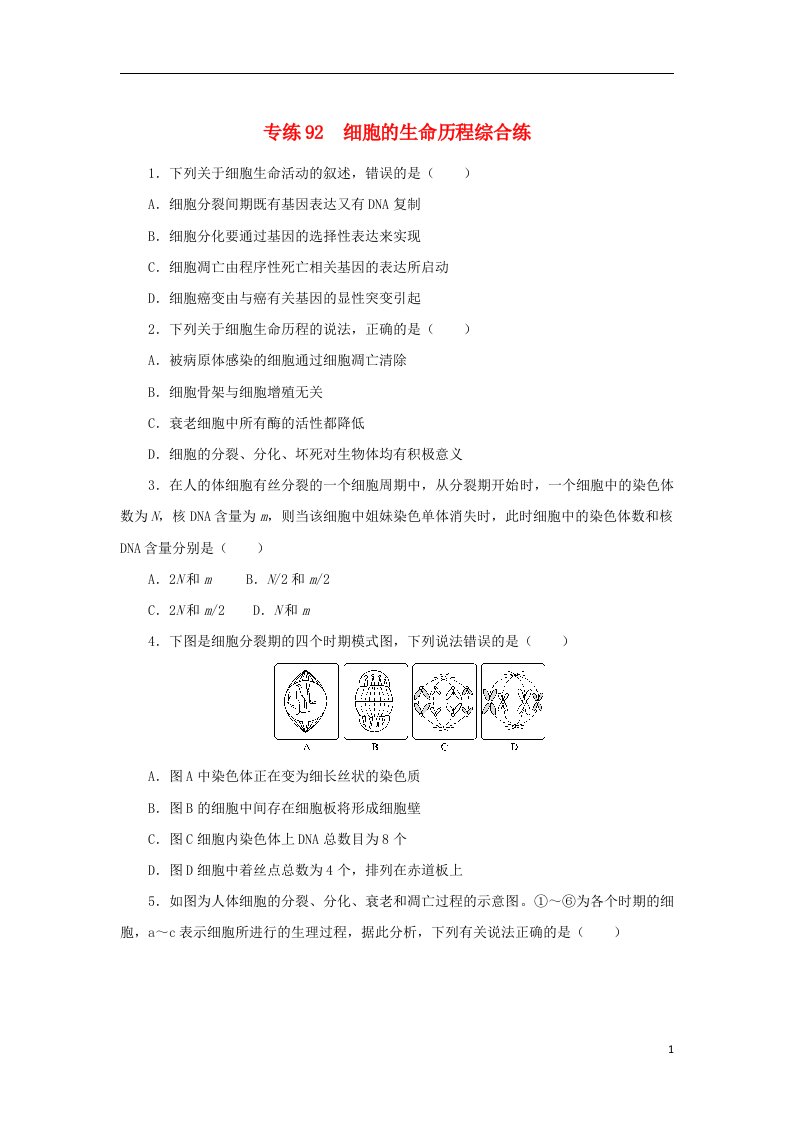 2023版高考生物第二部分综合练专练92细胞的生命历程