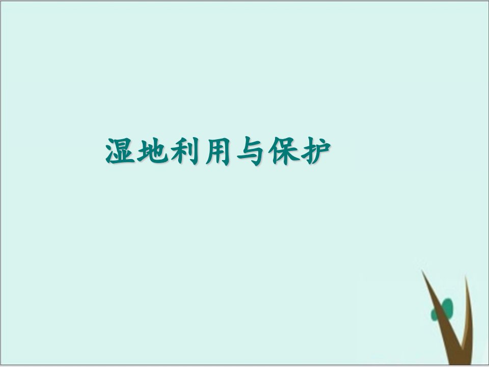 高考地理复习——湿地利用与保护ppt课件完美版