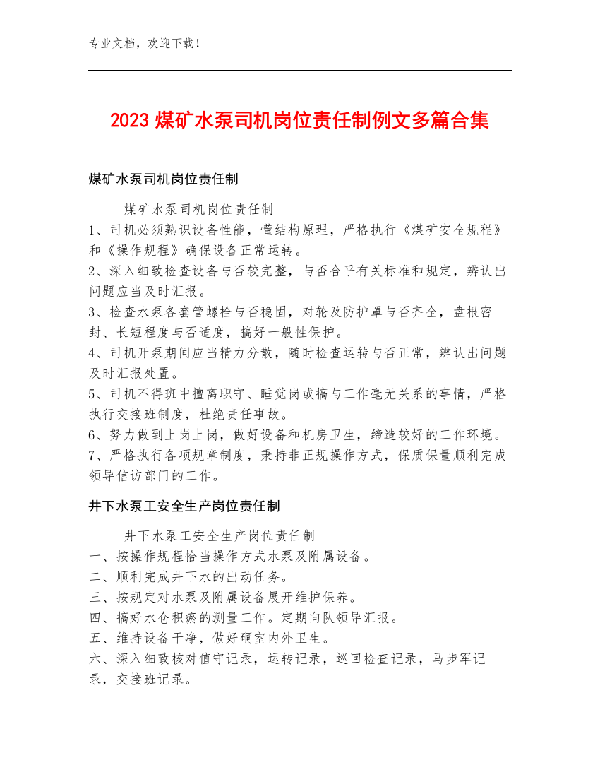 2023煤矿水泵司机岗位责任制例文多篇合集