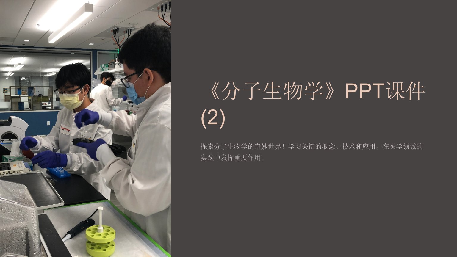 《分子生物学》课件