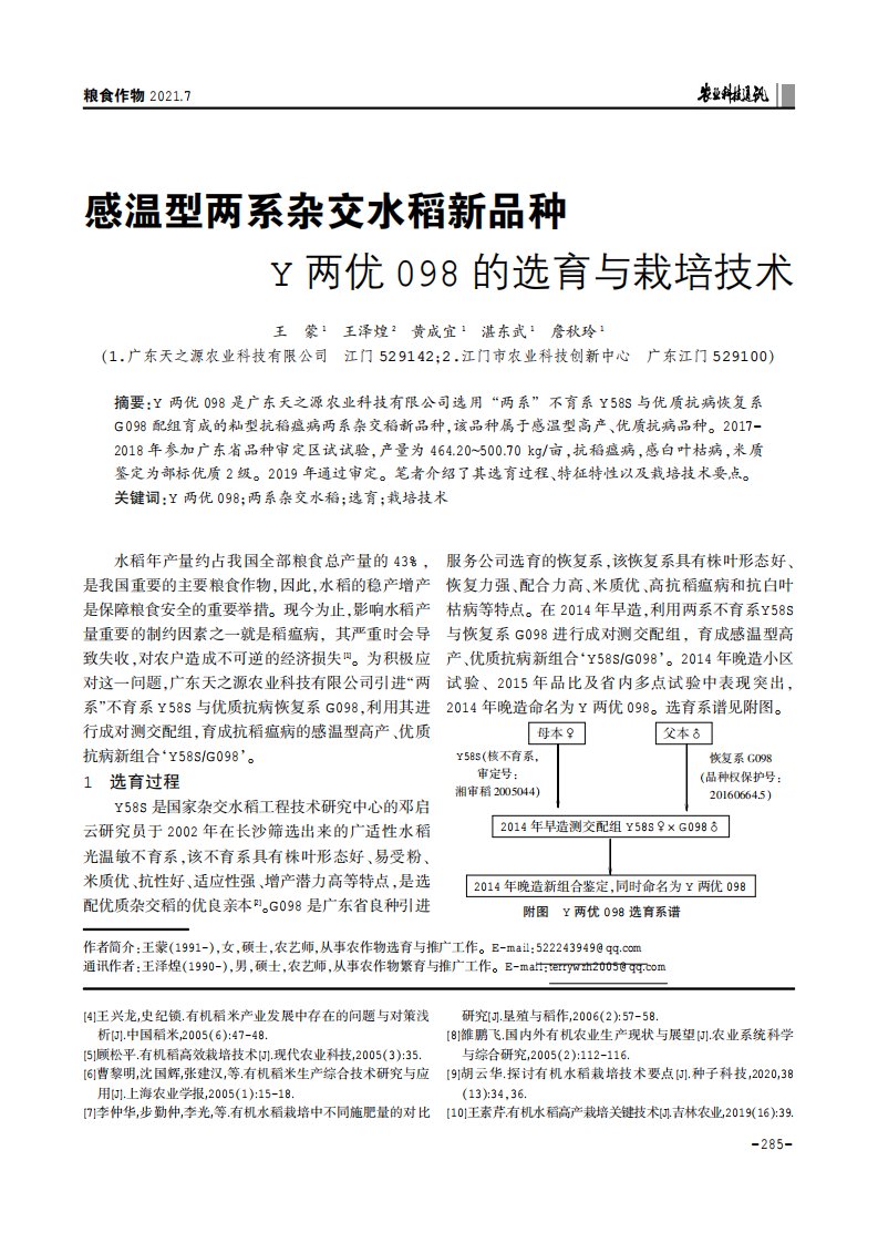 感温型两系杂交水稻新品种Y两优098的选育与栽培技术