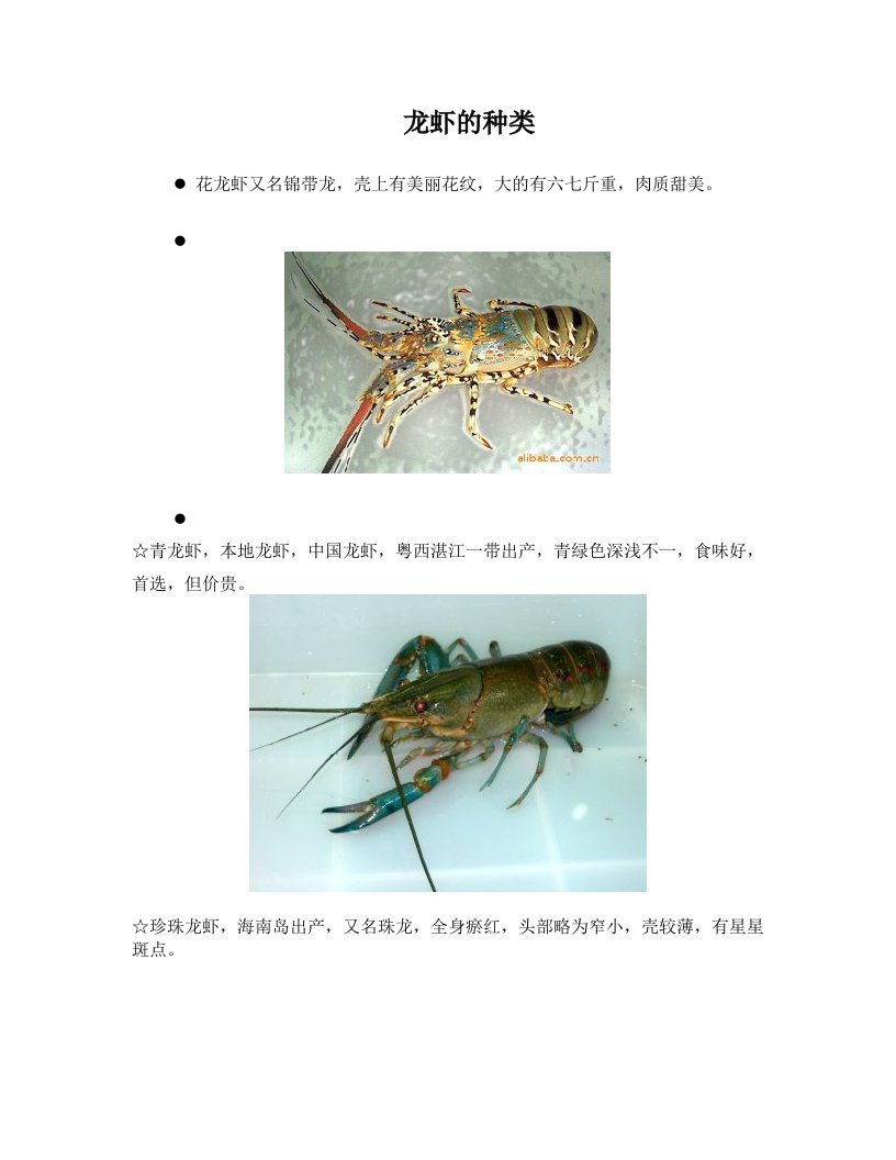 龙虾的种类