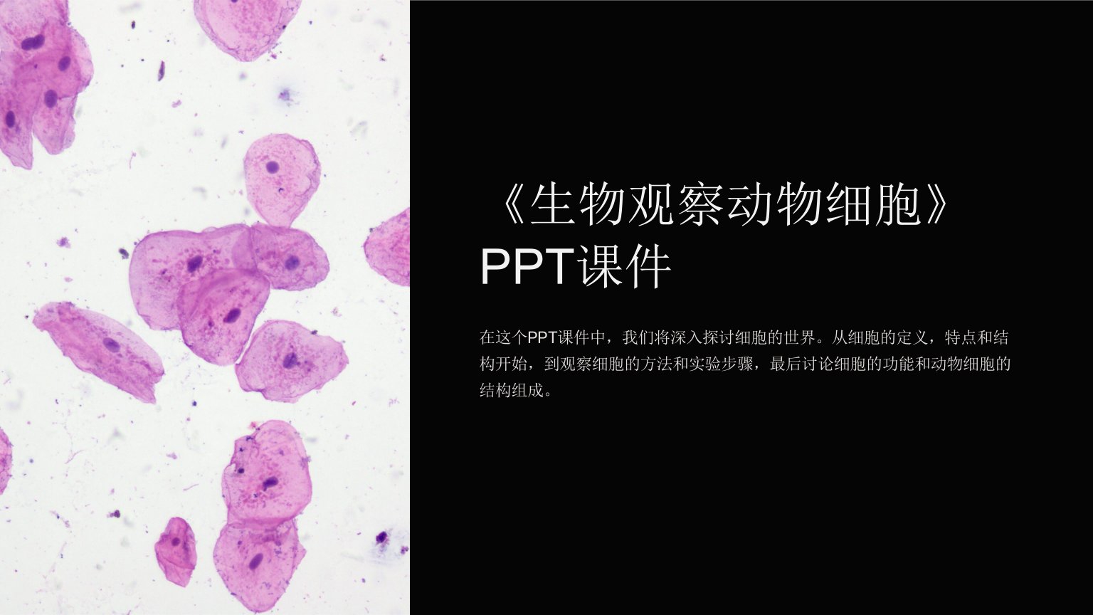 《生物观察动物细胞》课件