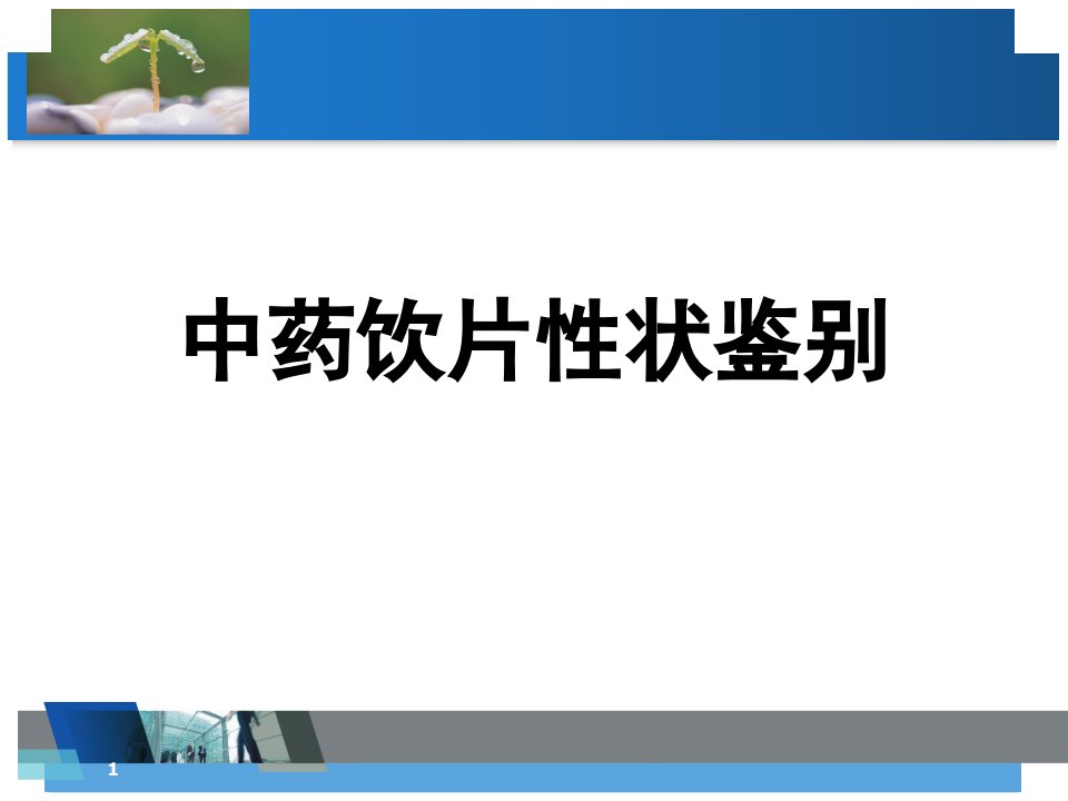 中药饮片的性状鉴别