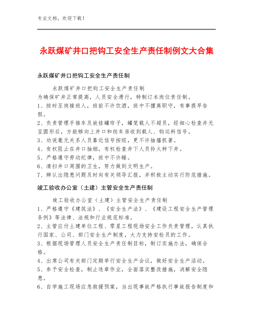 永跃煤矿井口把钩工安全生产责任制例文大合集