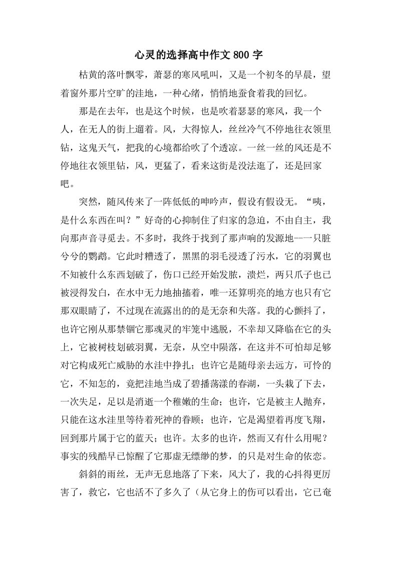 心灵的选择高中作文800字