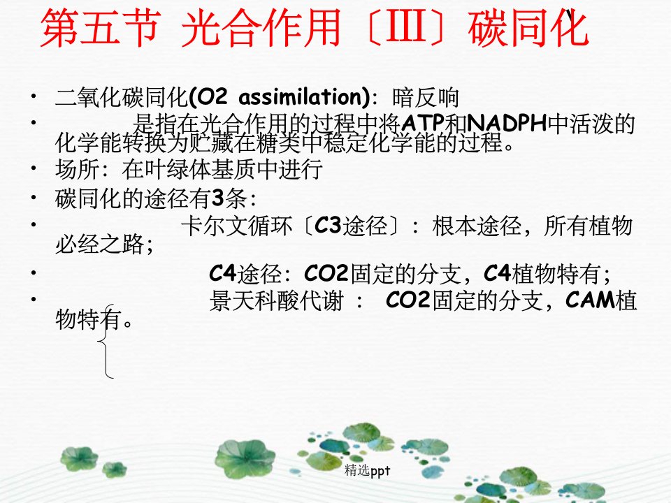 光合作用3植物生理学