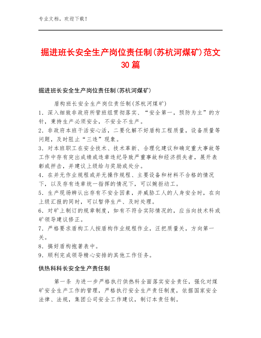 掘进班长安全生产岗位责任制(苏杭河煤矿)范文30篇