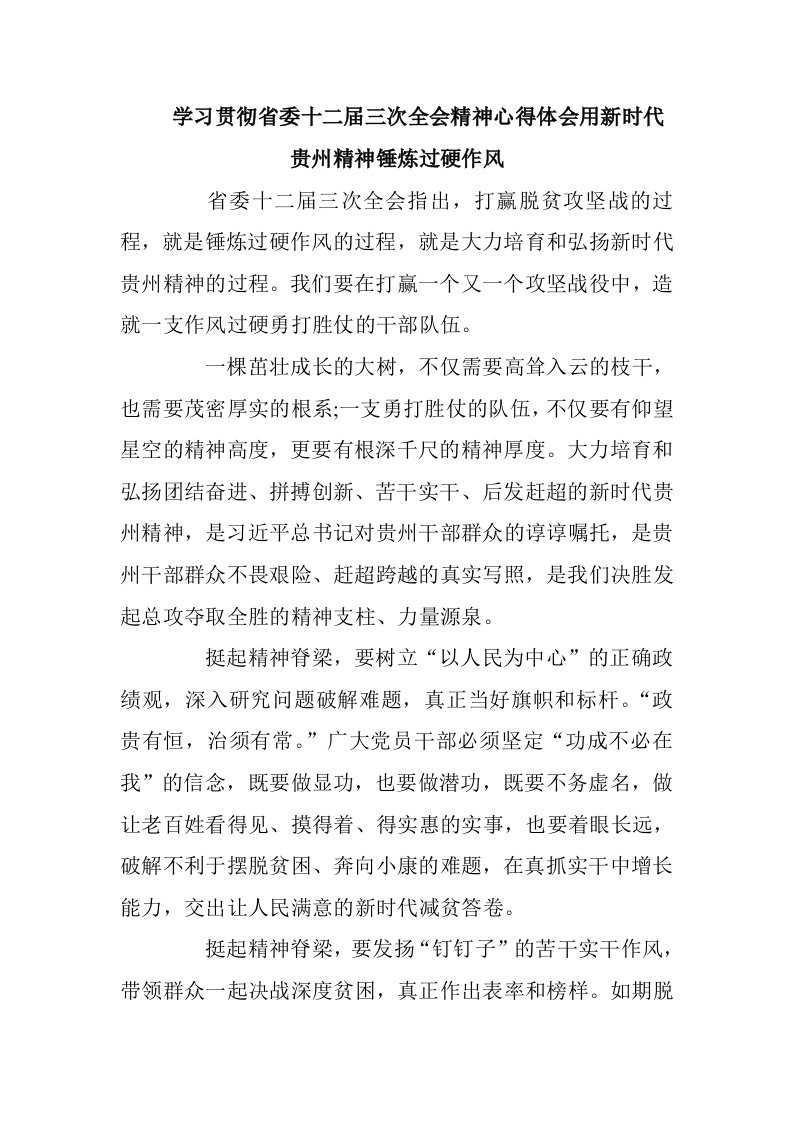 学习贯彻省委十二届三次全会精神心得体会用新时代贵州精神锤炼过硬作风