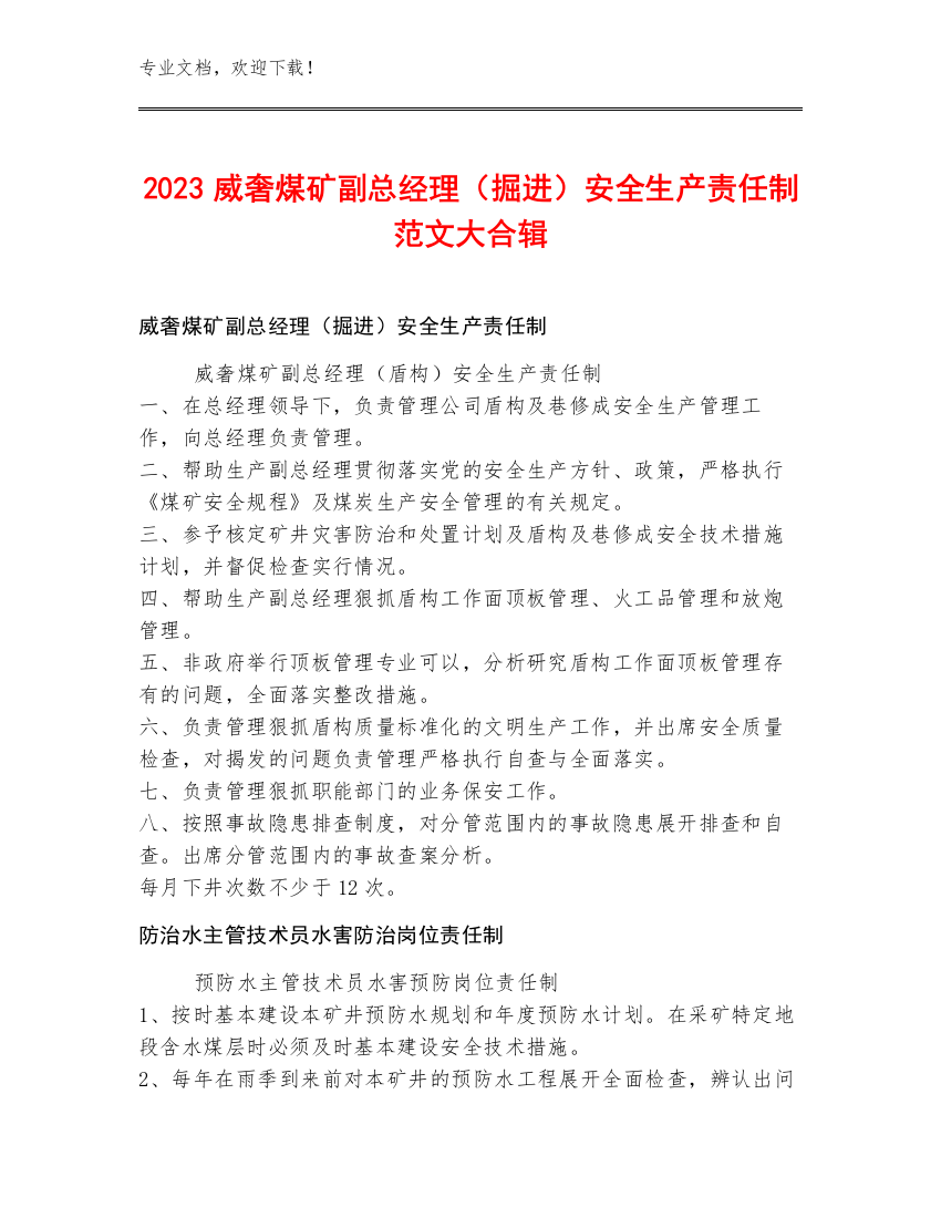 2023威奢煤矿副总经理（掘进）安全生产责任制范文大合辑